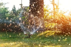 Landscape automatic garden watering system with different rotating sprinklers installed on turf. Landscape design with lawn and fruit garden irrigated with smart autonomous sprayers at sunset time.