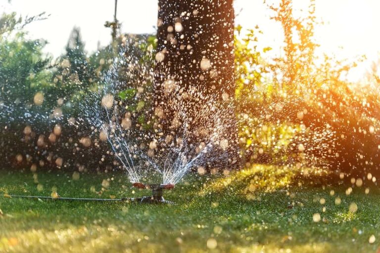 Landscape automatic garden watering system with different rotating sprinklers installed on turf. Landscape design with lawn and fruit garden irrigated with smart autonomous sprayers at sunset time.