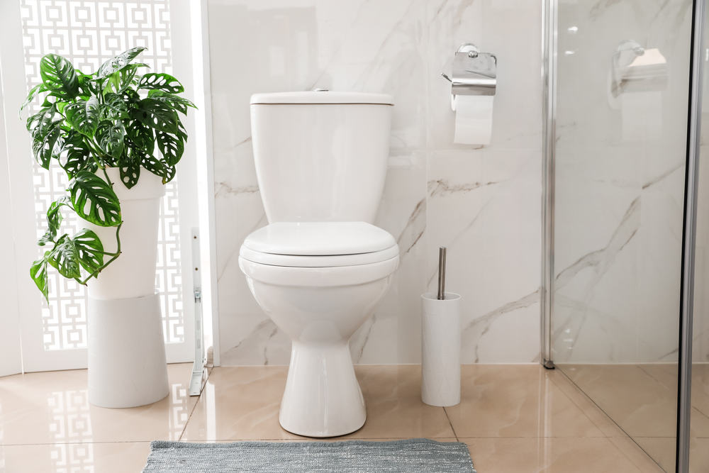 Toilet in white modern bathroom with grey rug, plant, and glass shower stall.