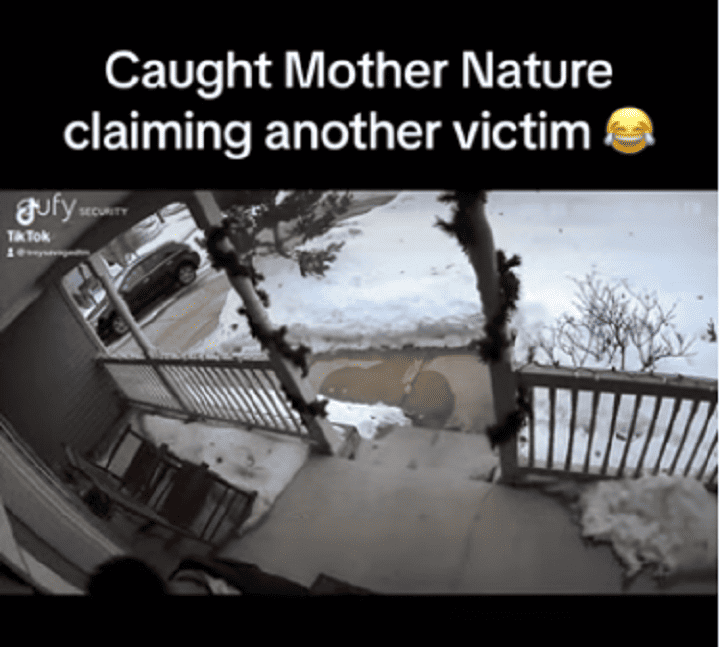 Security camera fail, mother nature