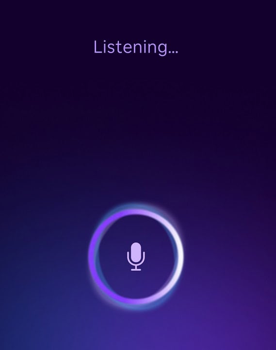 Roku Voice Input Screenshot