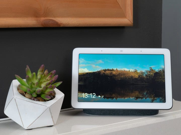 Google Nest smart home hub on a table next to a succulent plant.