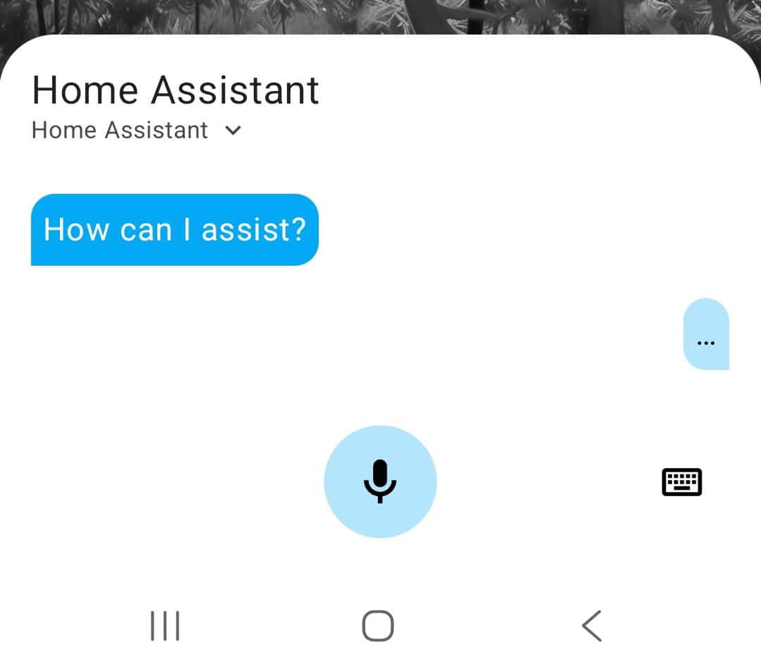 Home Assistant's voice assistant addon on mobile.