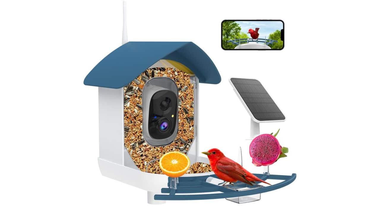 3. AI Species ID Bird Feeder