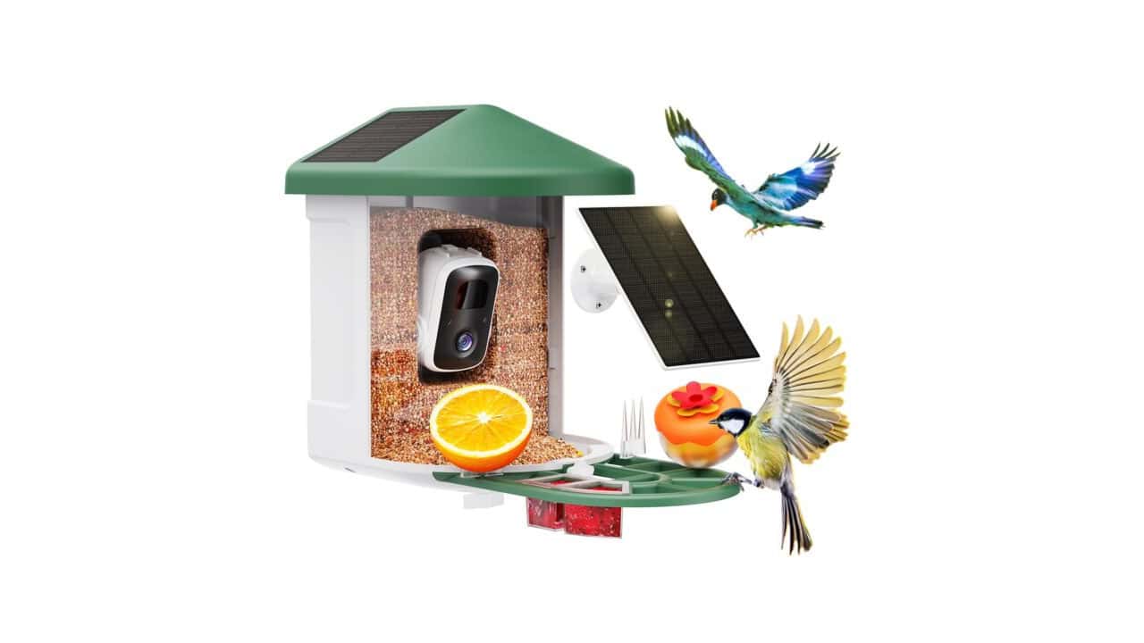 2. Affordable Family-Friendly Bird Feeder
