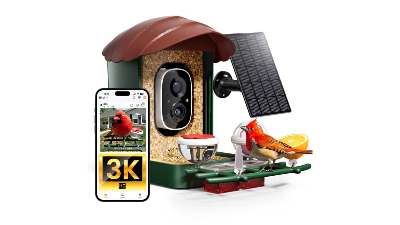 6. 4K HD Bird Feeder With IP65 Weatherproofing