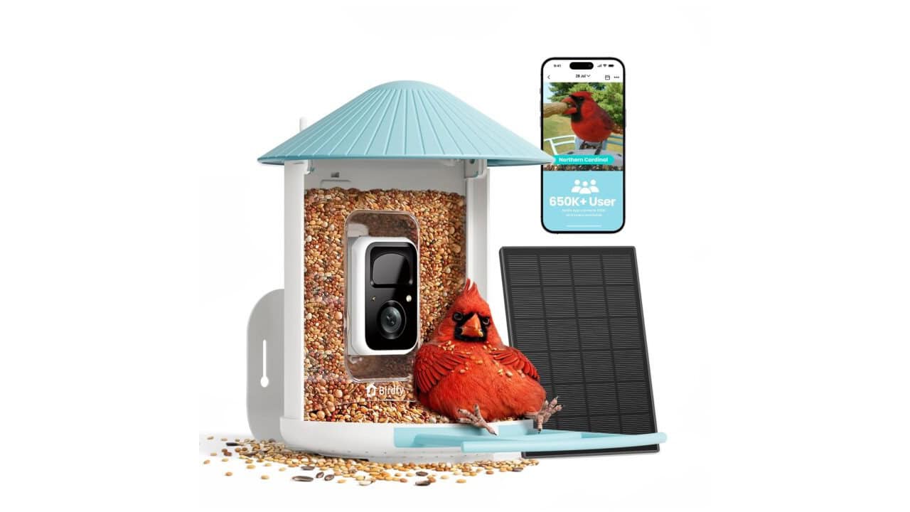 4. Two-Way Audio Bird Feeder With Cloud AI