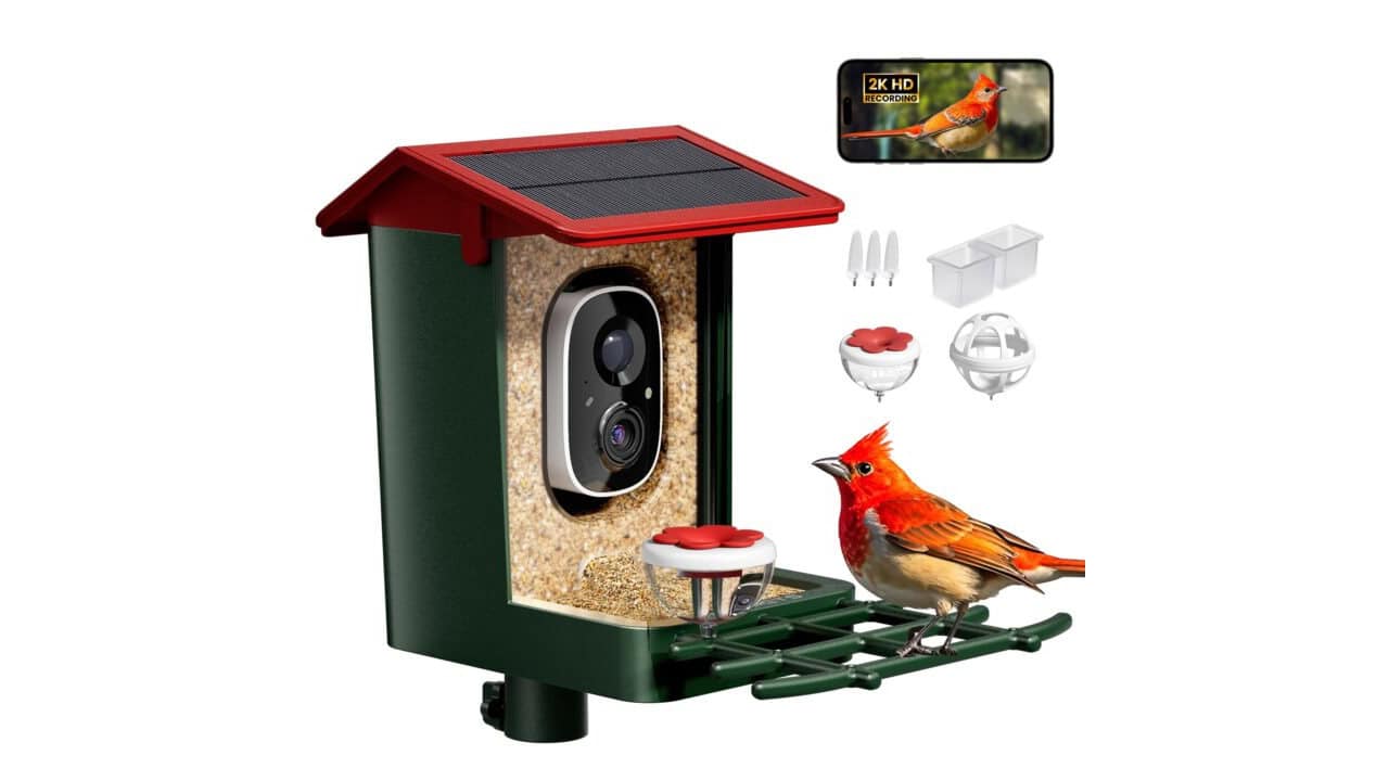 1. Solar-Powered Bird Feeder
