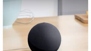 Amazon Echo Dot (newest model)